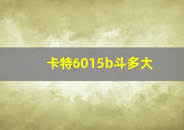 卡特6015b斗多大