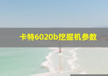 卡特6020b挖掘机参数