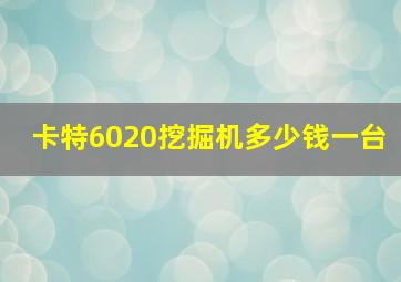 卡特6020挖掘机多少钱一台