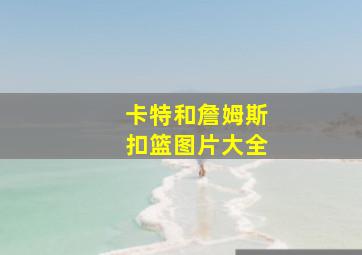 卡特和詹姆斯扣篮图片大全