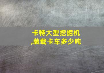 卡特大型挖掘机,装载卡车多少吨