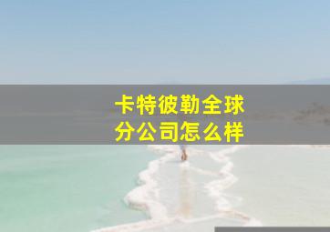 卡特彼勒全球分公司怎么样