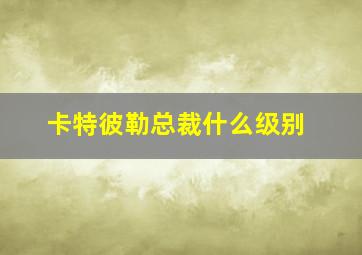 卡特彼勒总裁什么级别