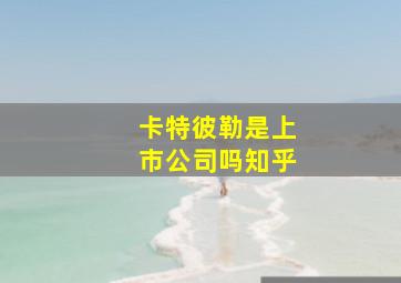 卡特彼勒是上市公司吗知乎