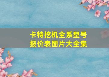 卡特挖机全系型号报价表图片大全集