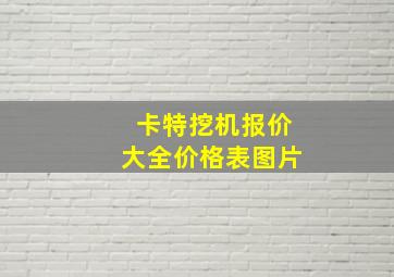 卡特挖机报价大全价格表图片