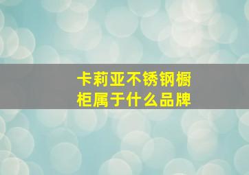 卡莉亚不锈钢橱柜属于什么品牌