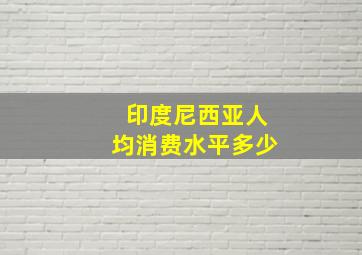 印度尼西亚人均消费水平多少