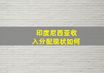 印度尼西亚收入分配现状如何