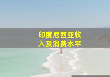 印度尼西亚收入及消费水平