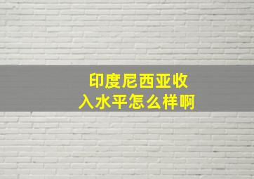 印度尼西亚收入水平怎么样啊