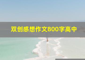 双创感想作文800字高中