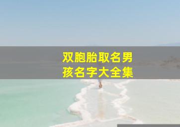 双胞胎取名男孩名字大全集