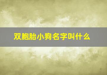 双胞胎小狗名字叫什么