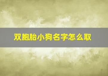 双胞胎小狗名字怎么取