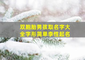 双胞胎男孩取名字大全字形简单李性起名