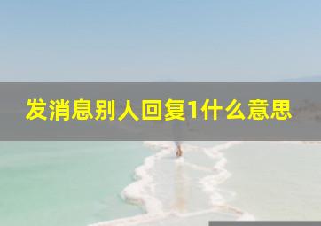 发消息别人回复1什么意思