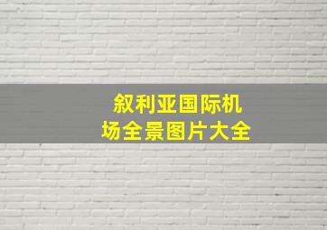 叙利亚国际机场全景图片大全