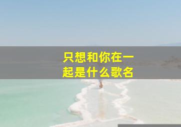 只想和你在一起是什么歌名