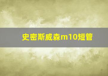 史密斯威森m10短管