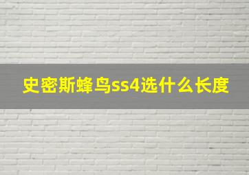 史密斯蜂鸟ss4选什么长度