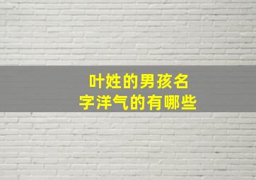 叶姓的男孩名字洋气的有哪些