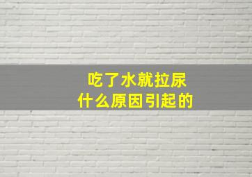 吃了水就拉尿什么原因引起的