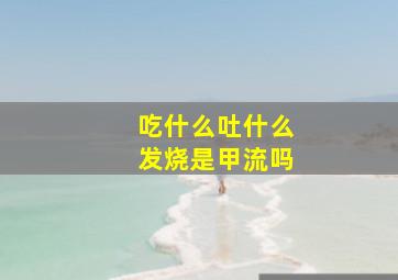 吃什么吐什么发烧是甲流吗