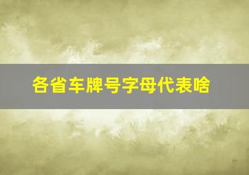 各省车牌号字母代表啥