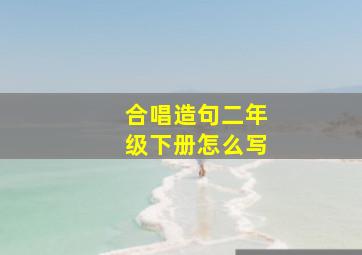 合唱造句二年级下册怎么写