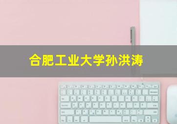 合肥工业大学孙洪涛