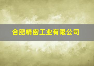 合肥精密工业有限公司