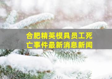 合肥精英模具员工死亡事件最新消息新闻