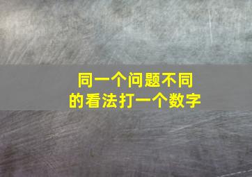 同一个问题不同的看法打一个数字