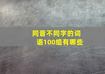 同音不同字的词语100组有哪些