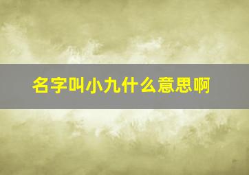 名字叫小九什么意思啊