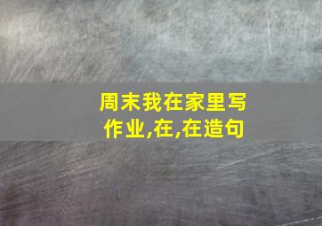 周末我在家里写作业,在,在造句