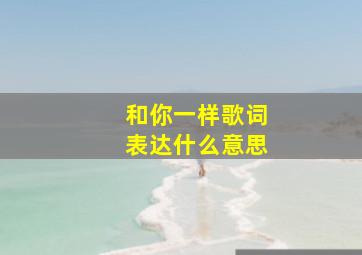 和你一样歌词表达什么意思