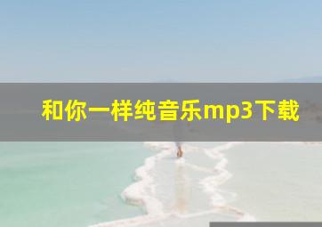 和你一样纯音乐mp3下载