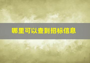 哪里可以查到招标信息