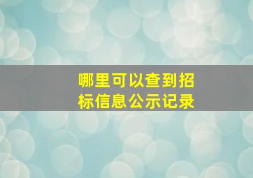 哪里可以查到招标信息公示记录