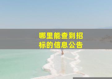 哪里能查到招标的信息公告