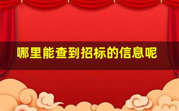 哪里能查到招标的信息呢