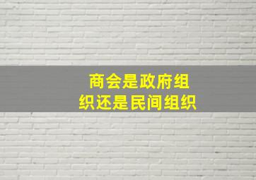 商会是政府组织还是民间组织