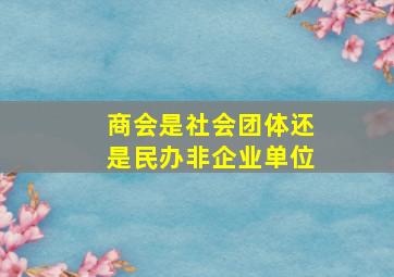 商会是社会团体还是民办非企业单位