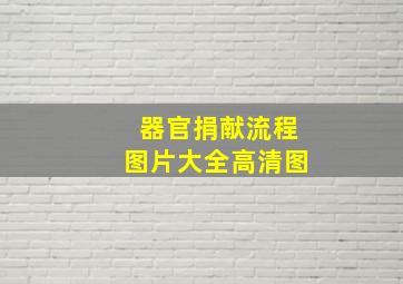 器官捐献流程图片大全高清图