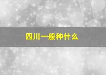 四川一般种什么