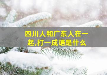 四川人和广东人在一起,打一成语是什么