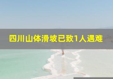 四川山体滑坡已致1人遇难