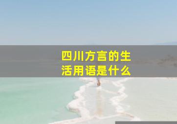 四川方言的生活用语是什么